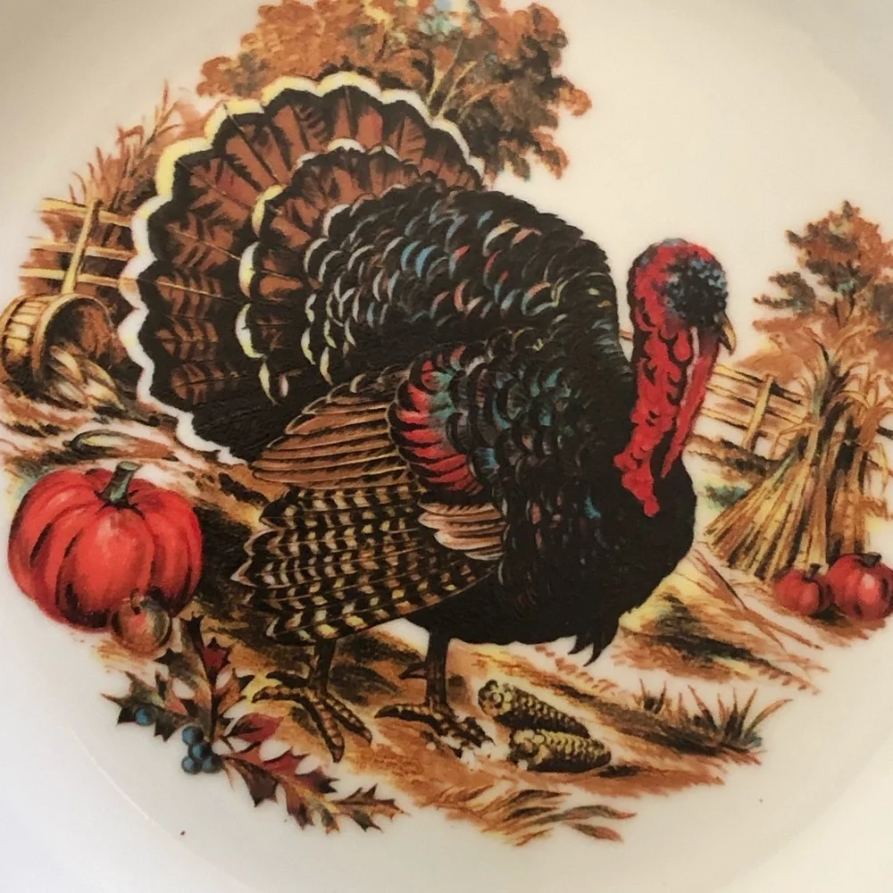 Vintage Turkey Plate
